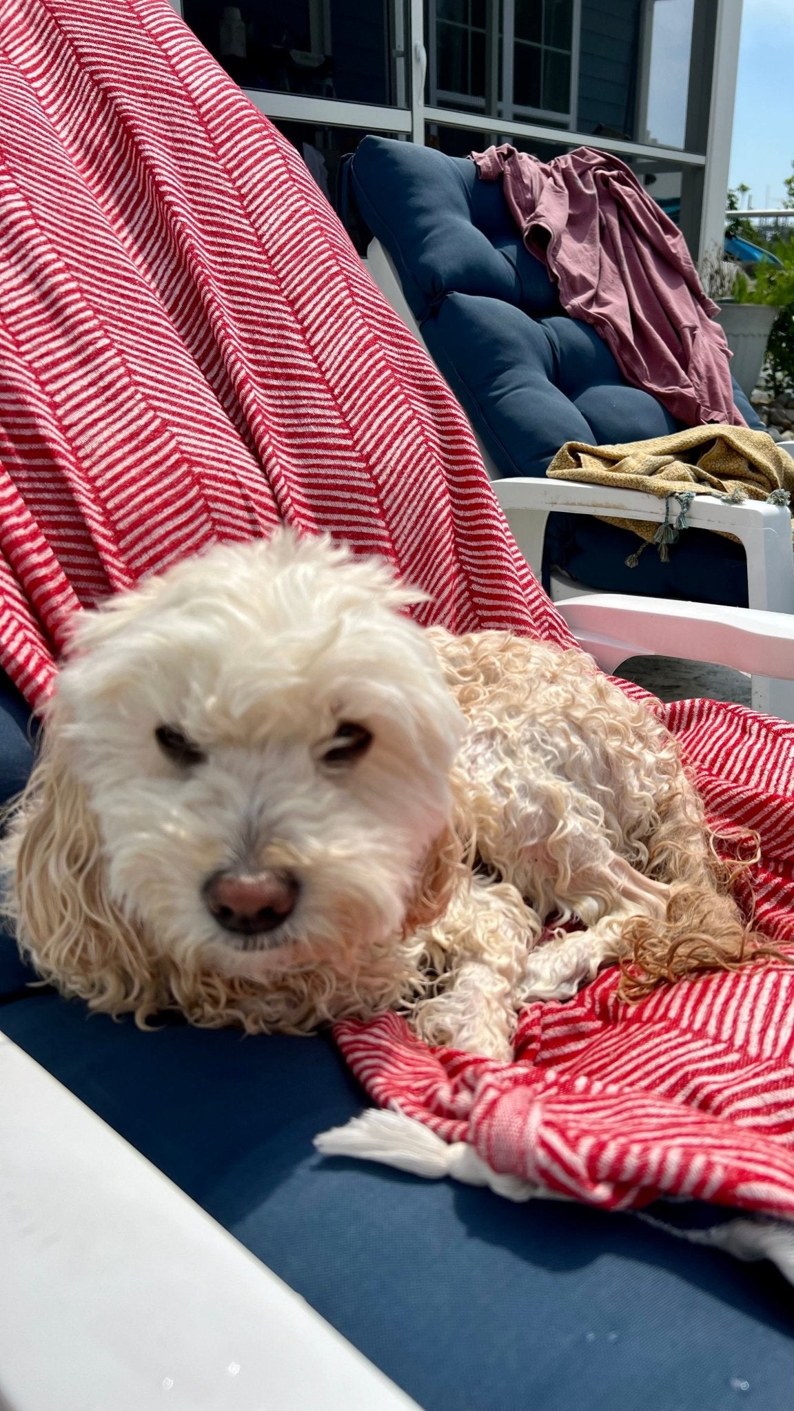 Carmila Towel - SolWoven