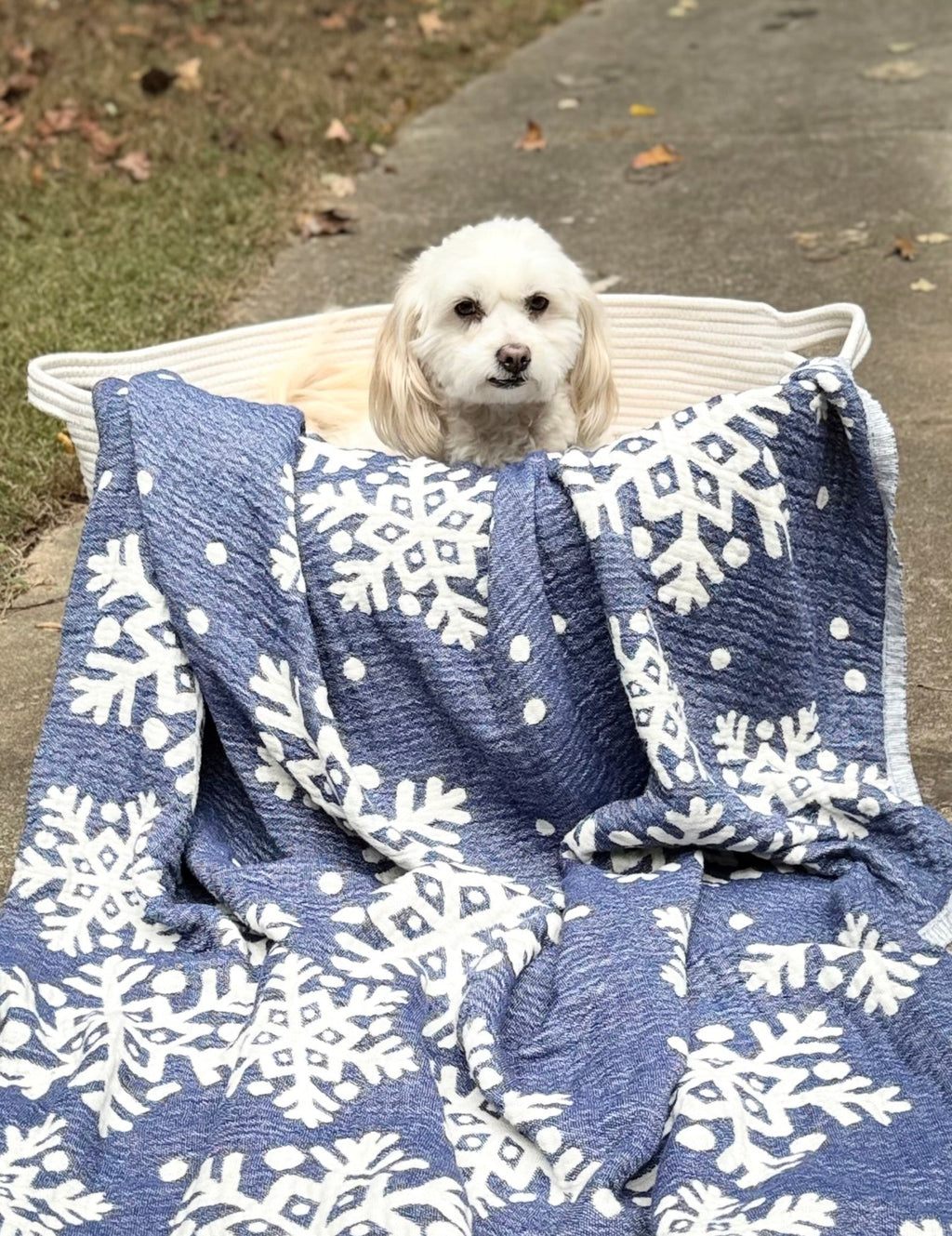 North Pole Throw - SolWoven