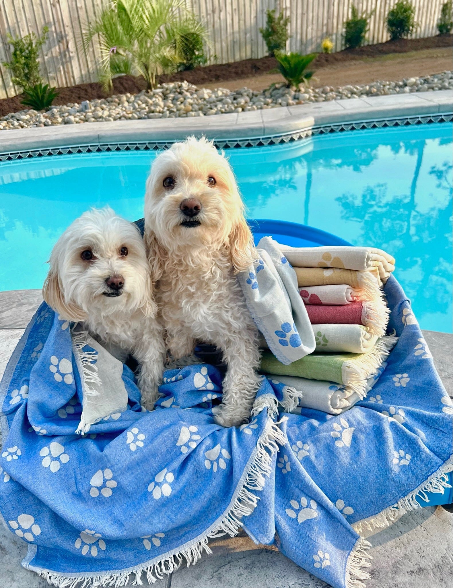 Playa Mascotas Towel - SolWoven