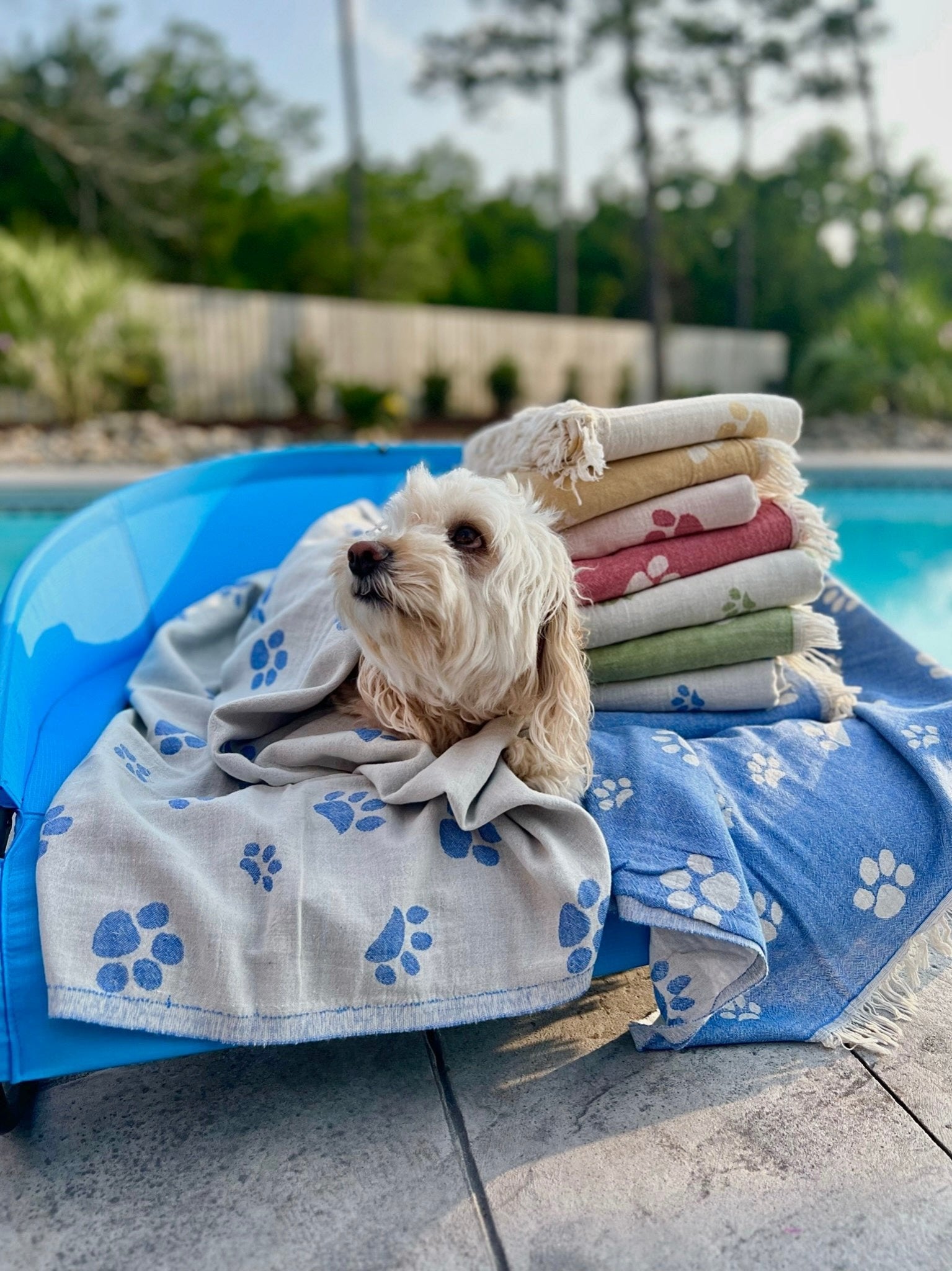 Playa Mascotas Towel - SolWoven