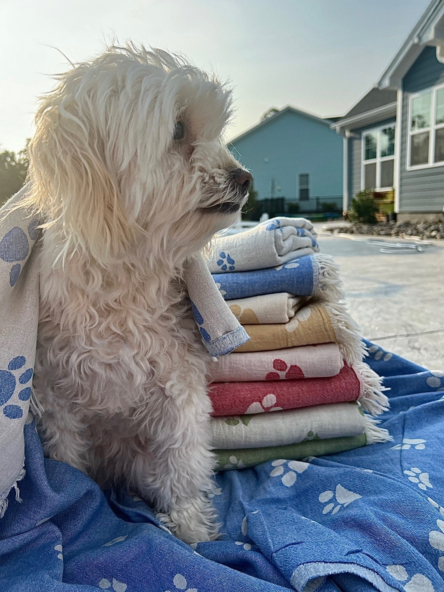 Playa Mascotas Towel - SolWoven